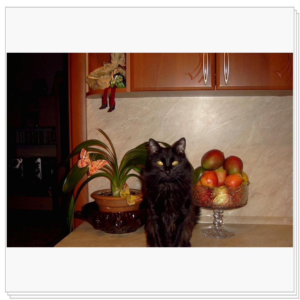 А кормить сегодня будут???