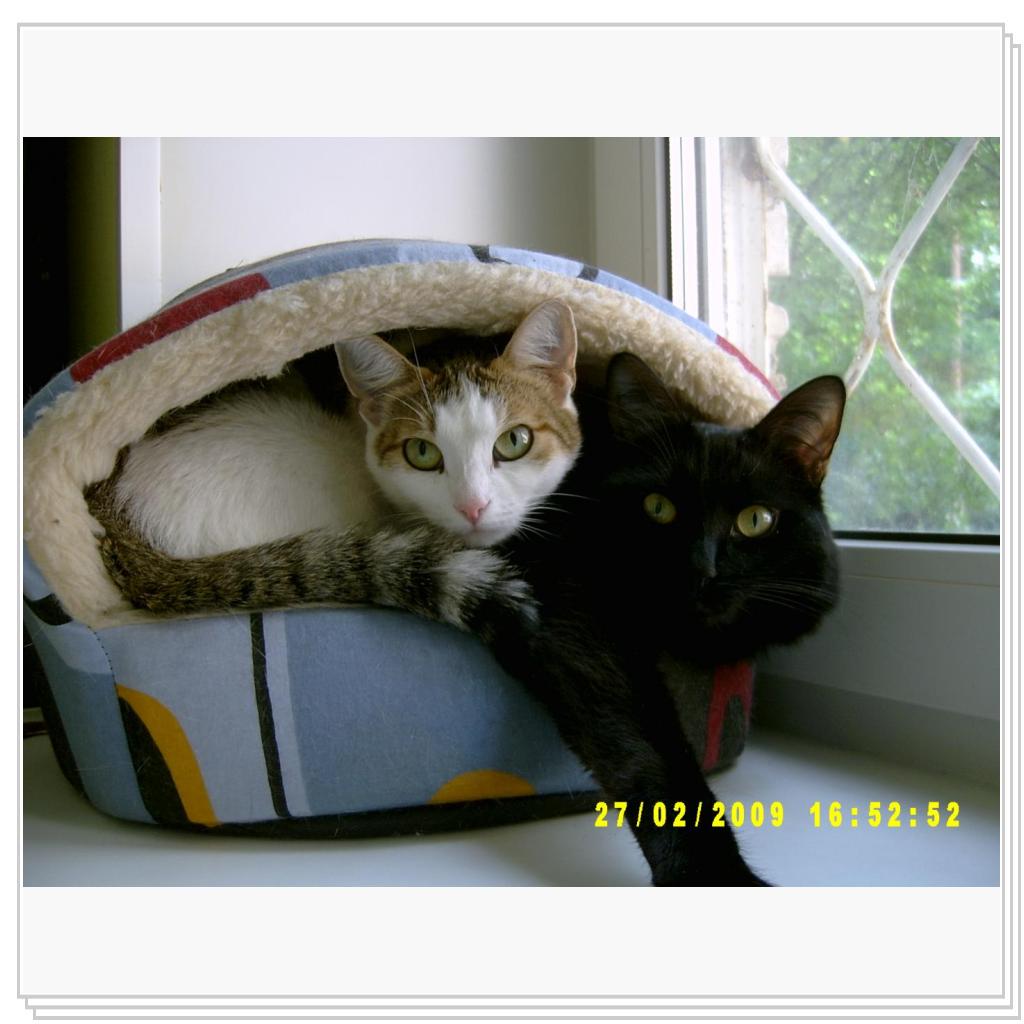 Голова профессора Доуэля???)))