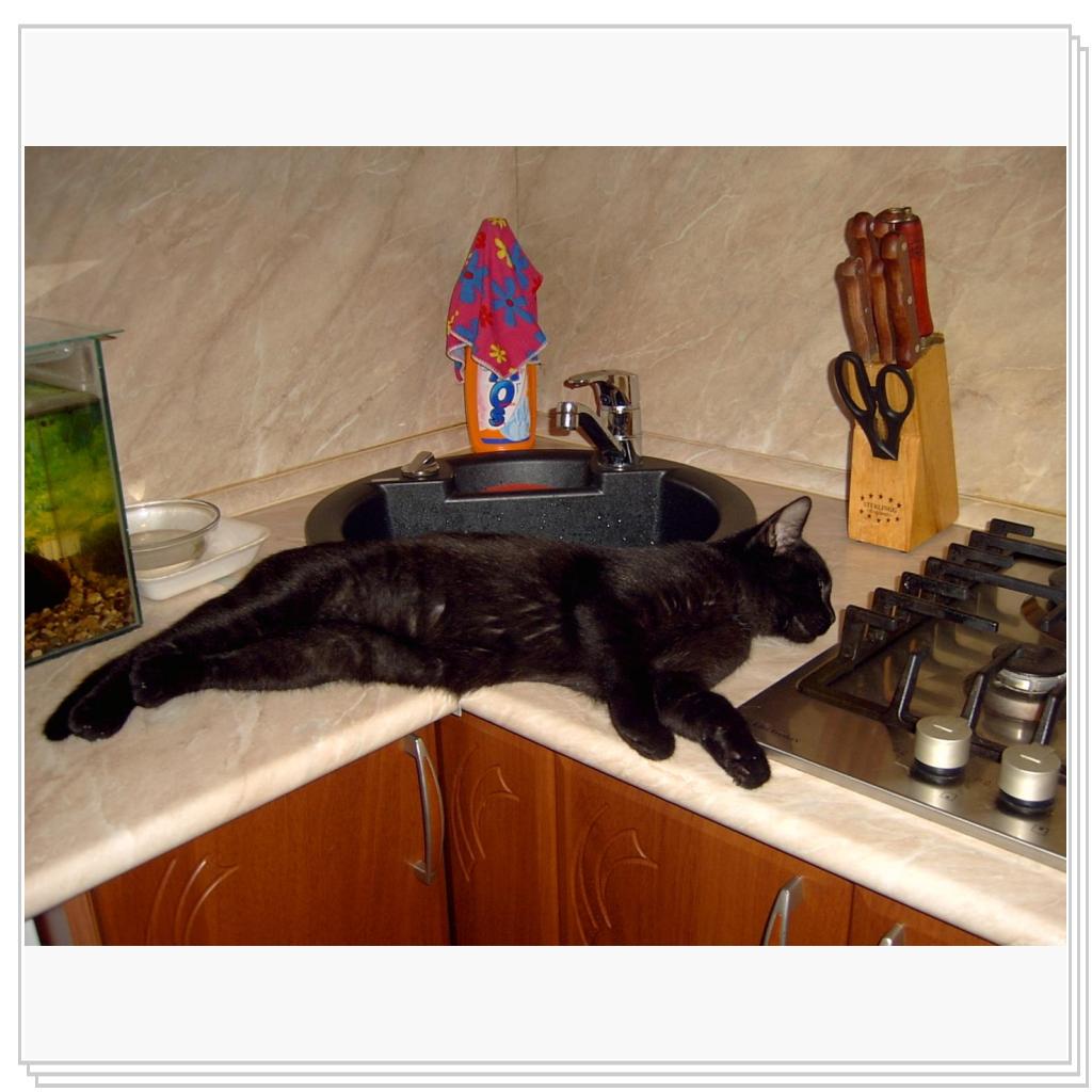 Сева устал....