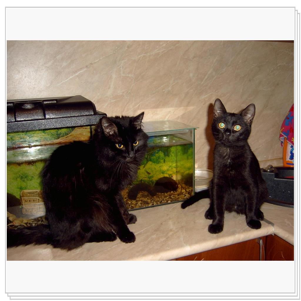 Сема и Сева ждут завтрак