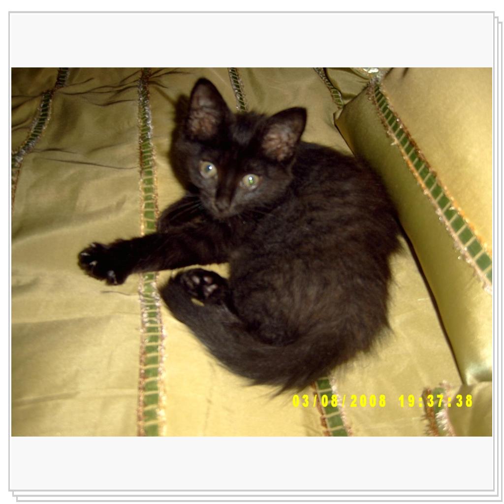 Таким меня подобрали