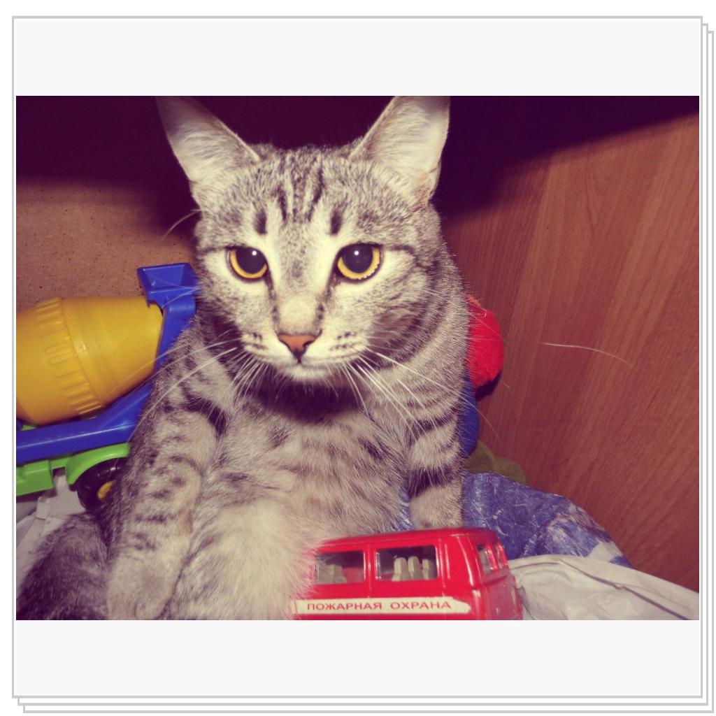 моя Соничка