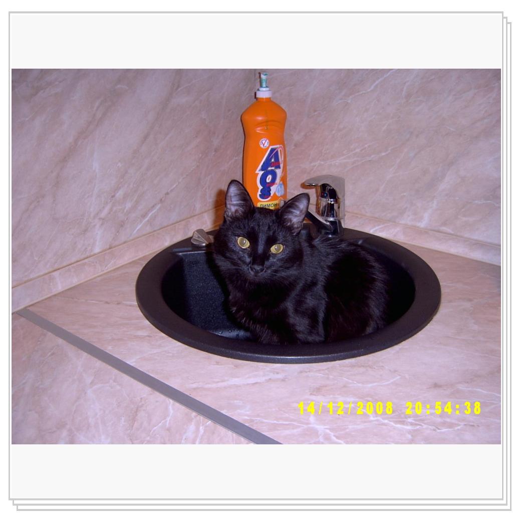 Вау! Вот это миска!!!