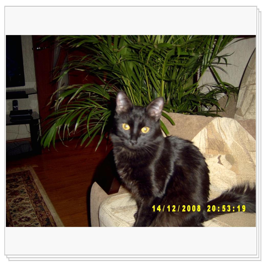 Я немного подрос