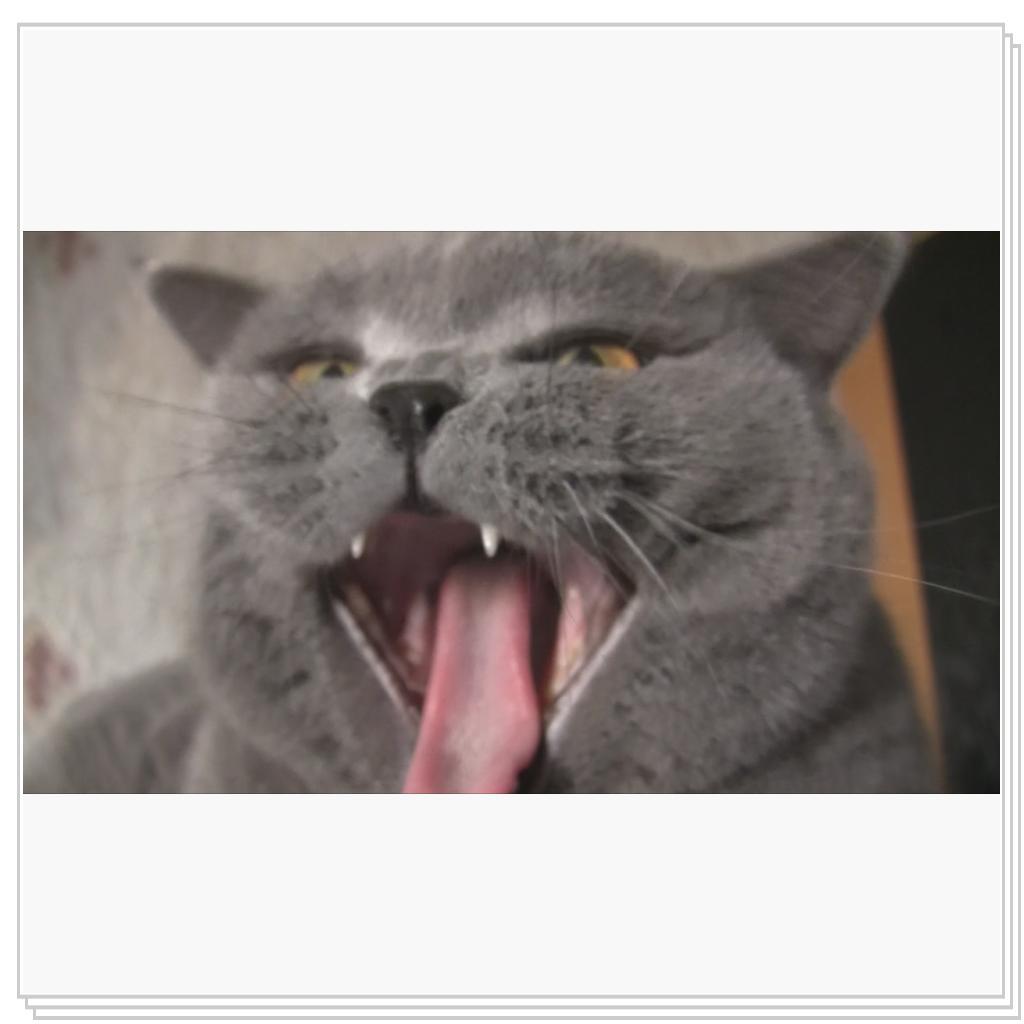 Вот какие зубы!