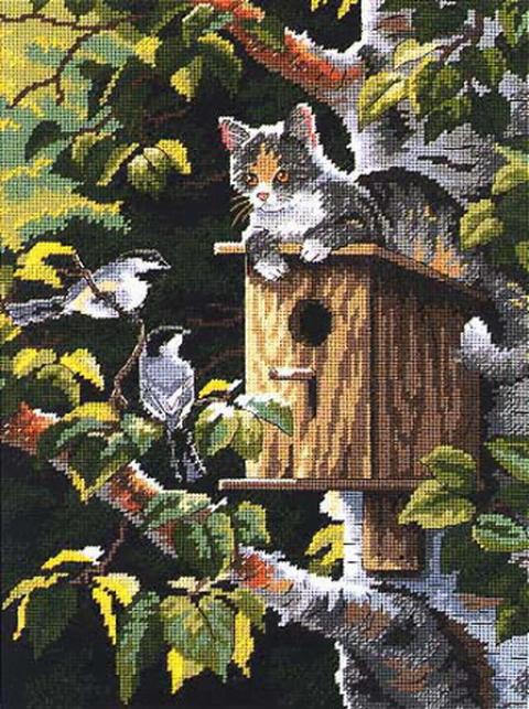 Кот на скворечнике