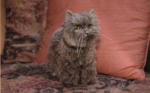 Мохнатый Кот