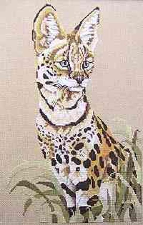 Сервал. Одомашненный дикий кот