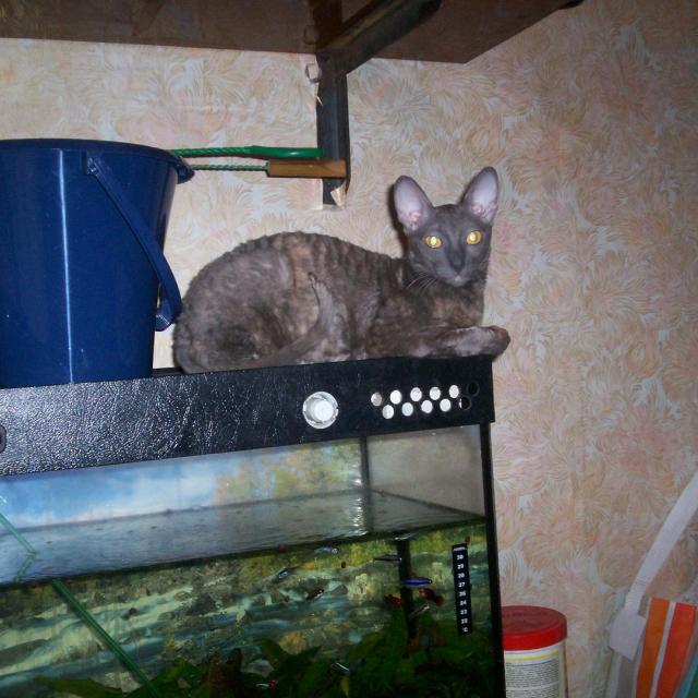 Охраняю рыбное хозяйство!