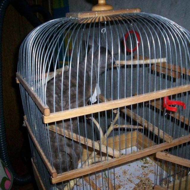 Уборка, уборка и еще раз уборка!