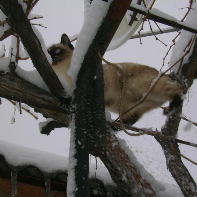 вот она-СВОБОДА