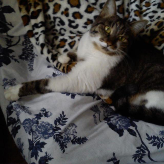 малышка Мила