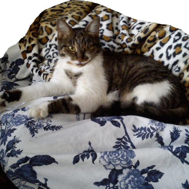 малышка Мила