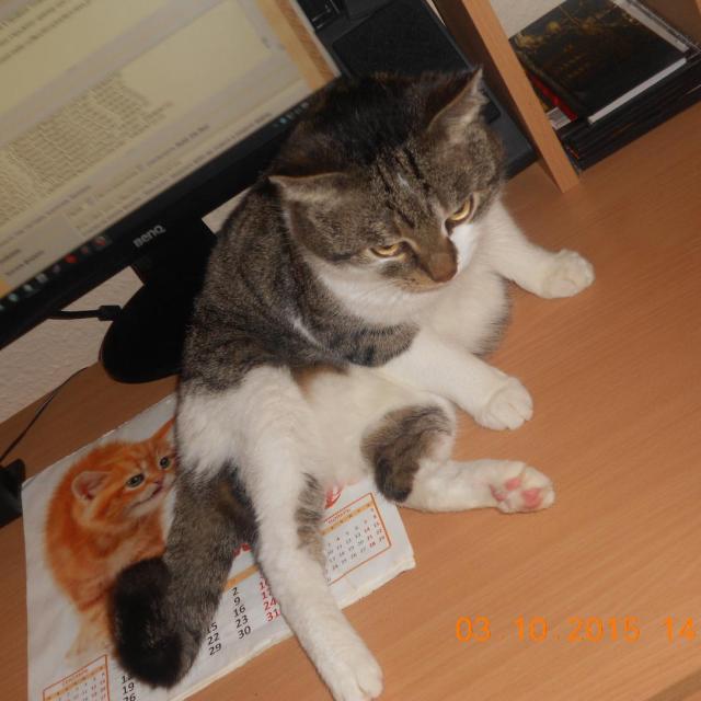 Один из команды блога моего.