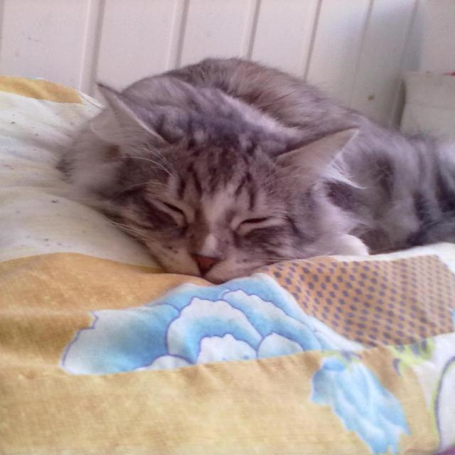 Парнишка в штанишках