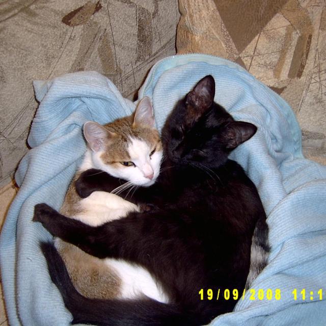 Моя приемная мамуля Дася