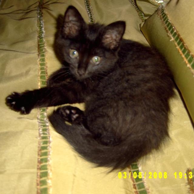 Таким меня подобрали