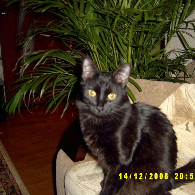 Я немного подрос